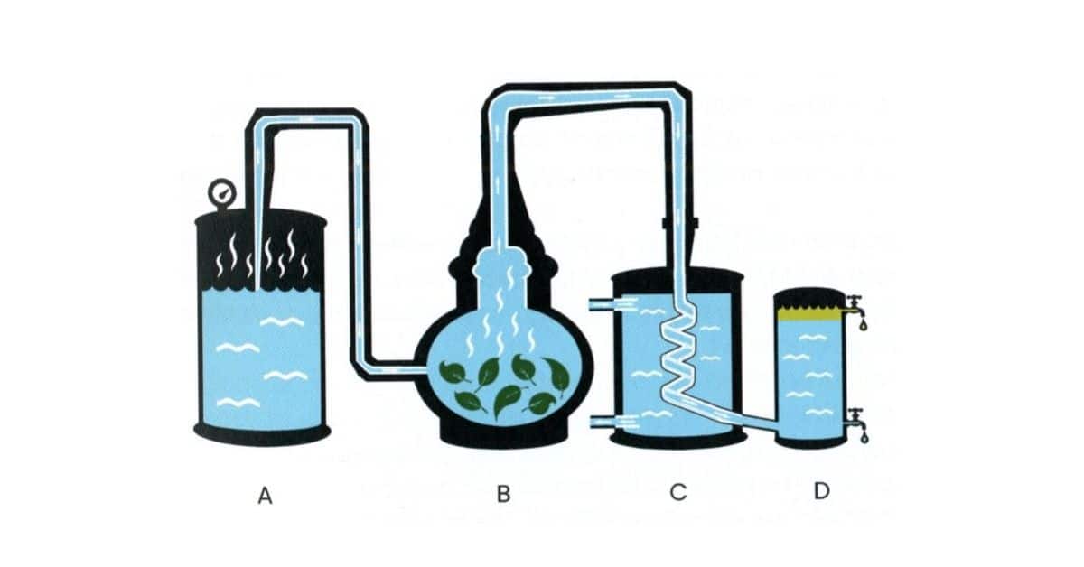 C Mo Destilar Aceites Esenciales Con Un Alambique Gu A Paso A Paso