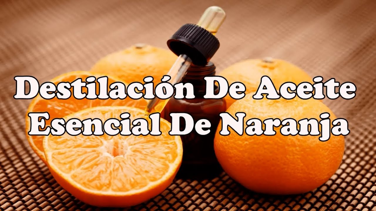 Proceso Para Destilar Aceite Esencial De Naranja En Casa Paso A Paso